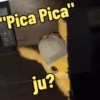 Aleatorias, tudo de bom(soqs) 8