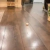 Little animals 🐕 11