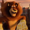 Madagascar GIFs 18