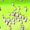 ᱙᱙   ˳   Meowl   ׅ   𐀴᷼𐀴 13