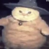 🐱 Cheeseball | The Wizard Cat 12