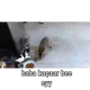 Denizbaba version2  7