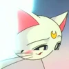Cat anime 24