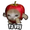 Ya voy