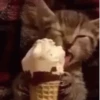 GIFs Bixins com Calor 2 🥵 15