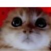 GIFs Raiva 3 😡 8