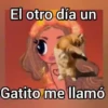El otro día un Gatito me llamó