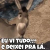 Parabéns  15