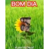 Minhas figurinhas 20