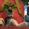 Madagascar GIFs 26
