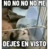NO ME DEJES EN VISTO ✔️✔️😾 15