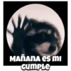 🎶Pedro, Pedro🦝Mapache🎶 14