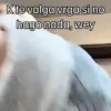 K te valga vrga si no hago nada, wey