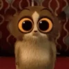 Madagascar GIFs 14