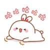 The little bunny 3 18