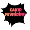 Kurtlar vadisi 24
