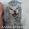 AAAAA STRESSS!
