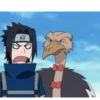 Sasuke 14