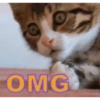 OMG
