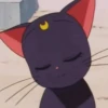 Cat anime 27