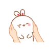 The little bunny 3 6