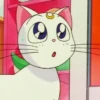 Cat anime 25
