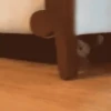 Mewing gato gatos 18