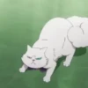 Cat anime 6