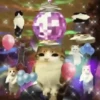 ᱙᱙   ˳   Meowl   ׅ   𐀴᷼𐀴 9