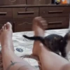 Funny memes 🐶🐱 8