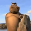 Madagascar GIFs 28