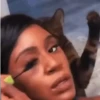 GIFs de Gatos Reações 2 🐱 25