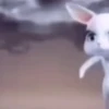 Funny Memes 🐾 14