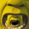 Shrek Animado 💚 6
