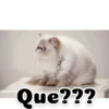 Gifs 10