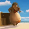Madagascar GIFs 22