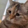 Necessary GIFs 29