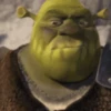 Shrek Animado 💚 13
