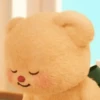 ❤️ Osito cute /tierno 🧸 10