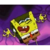 Bob 8