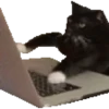 Meme Kucing Viral 🐱 26