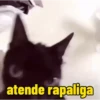 atende rapaliga