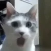 Memes que tienes que tener 12