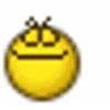 Emoji Pixel 12