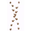 Spinning horse fat horse 🐴 13