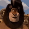 Madagascar GIFs 30