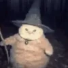 🐱 Cheeseball | The Wizard Cat 7