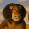 Madagascar GIFs 29