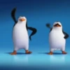 Préndelo pingüino bailando 🐧🎶 6
