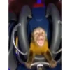Monos Videos 2 10